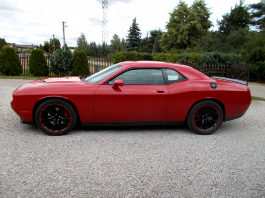 Dodge Challenger do jazdy bez wkładu.