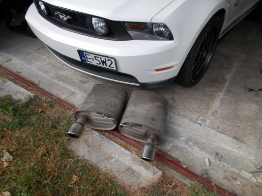 Ford Mustang GT 5.0 Premium, bezwypadkowy