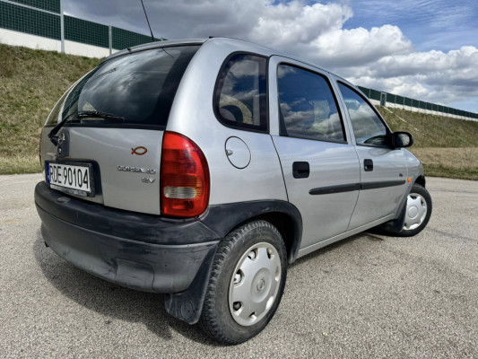 Witam wszystkich posiadam do sprzedania na dzień dzisiejszy małe zwine