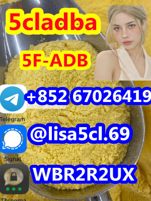 Chemical adbb 5cladba precursor raw material