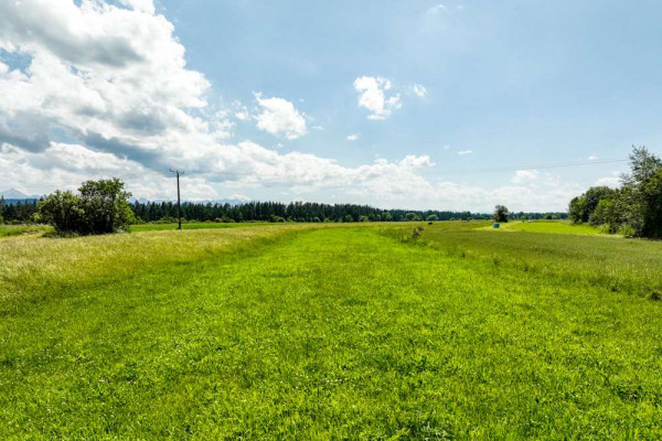 Widokowa działka budowlana w Dębnie