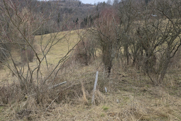 Fenomenalna lokata kapitału w Szczawnicy