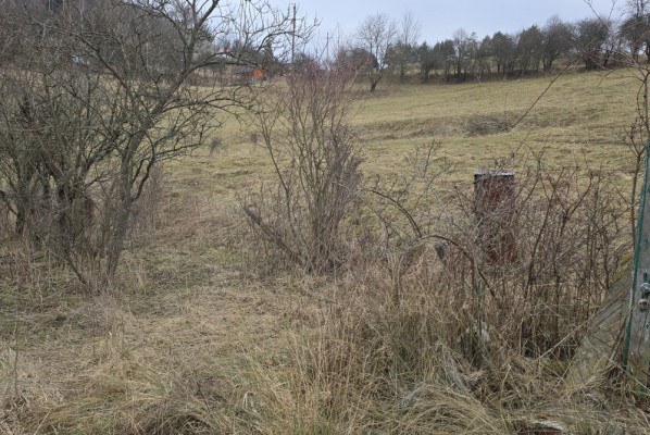 Fenomenalna lokata kapitału w Szczawnicy