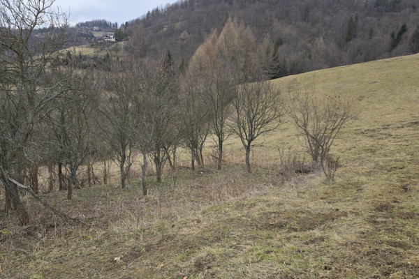 Fenomenalna lokata kapitału w Szczawnicy