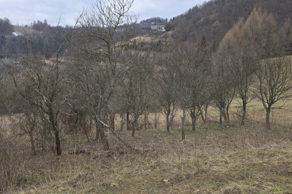 Fenomenalna lokata kapitału w Szczawnicy