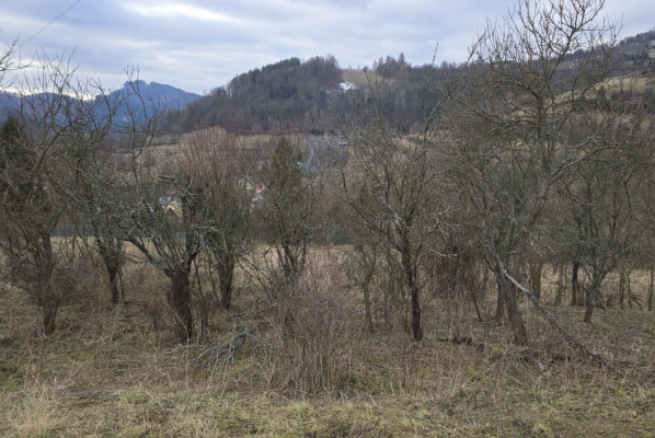 Fenomenalna lokata kapitału w Szczawnicy