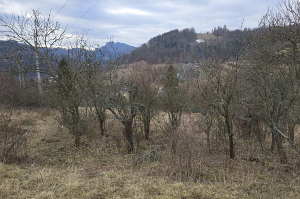 Fenomenalna lokata kapitału w Szczawnicy
