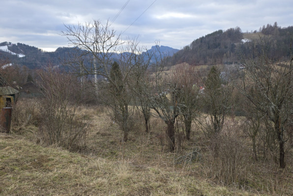 Fenomenalna lokata kapitału w Szczawnicy