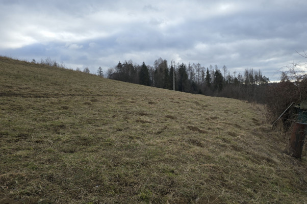 Fenomenalna lokata kapitału w Szczawnicy