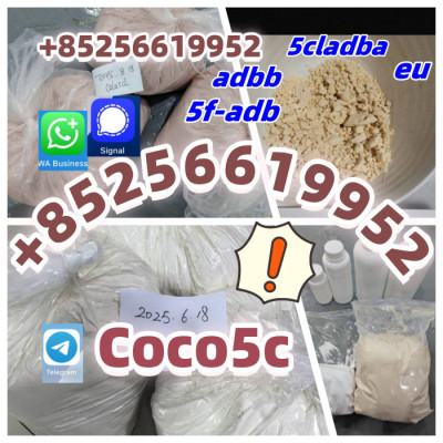 adbb,5f,Cannabinoid raw material 5cladba precursor raw 5cl-adb-a mater