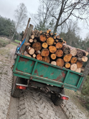 Drzewo opałowe z możliwością transportu