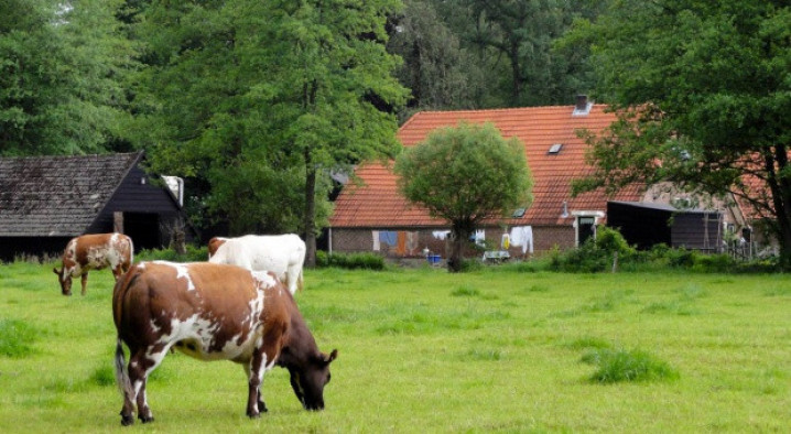 Zapomnij o stresie związanym z brakiem gotówki