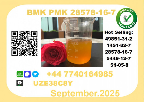 CAS 28578-16-7 BMK PMK Certified Factory Supply