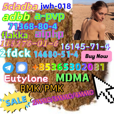 Hot sell product CAS119276-01-6 good quality