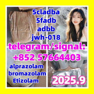 5cladba 71368-80-4  bromazolam  PMK 28578-16-7