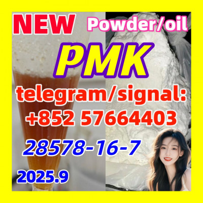 New PMK 28578-16-7 Powder oil Ethyl Glycidate 1451-82-7 51-05-8