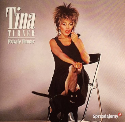 Znakomity Kultowy Album Cd Tina Turner Private Dancer