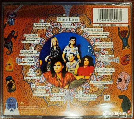 Polecam Rewelacyjny Album CD Aerosmith: Nine lives