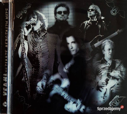 Polecam Rewelacyjny Album CD Aerosmith: Nine lives