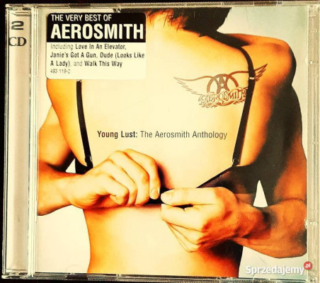 Polecam Rewelacyjny Album CD Aerosmith: Nine lives