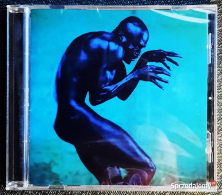 Polecam Wspaniały Album CD SEAL- Album – Human Being