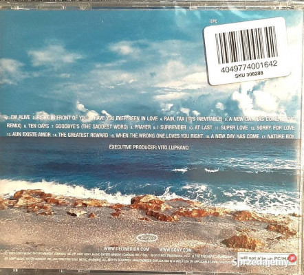 Wspaniały Album CD CELINE DION- A New Day Has Come CD