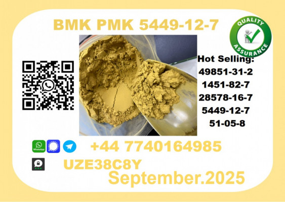 Trusted BMK PMK, CAS 5449-12-7-Precision-Sourced for Industry