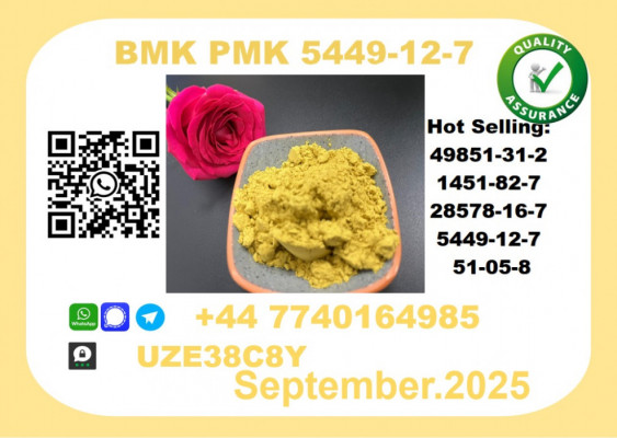 Trusted BMK PMK, CAS 5449-12-7-Precision-Sourced for Industry