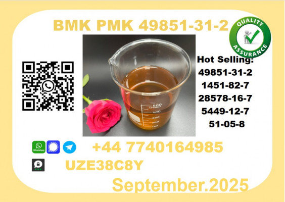 Trusted BMK PMK, CAS 49851-31-2 Precision-Sourced for Industry