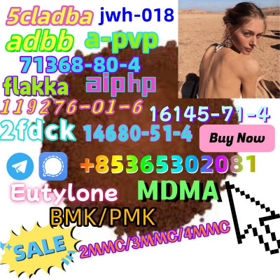 Do you want to buy119276-01-6powder?