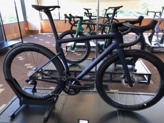 2024 Specialized Turbo Levo Comp Alloy