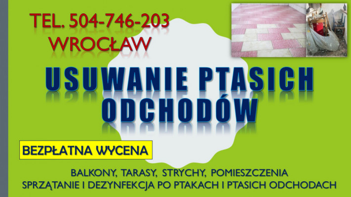 Ptasie odchody sprzątanie, Wrocław, tel. 504-746-203. Czyszczenie cena