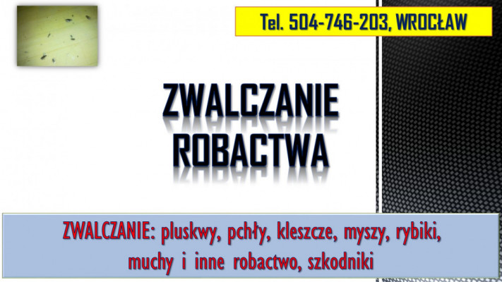 Rybiki zwalczanie, tel. 504-746-203, dezynfekcja rybików, dezynfekcja