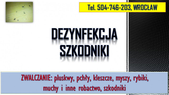 Rybiki zwalczanie, tel. 504-746-203, dezynfekcja rybików, dezynfekcja