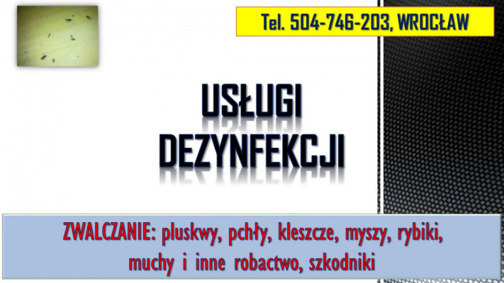 Rybiki zwalczanie, tel. 504-746-203, dezynfekcja rybików, dezynfekcja