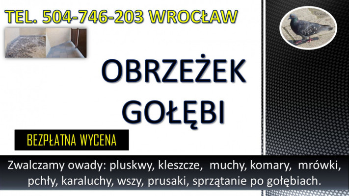 Obrzeżek gołębi, dezynfekcja tel. 504-746-203, Wrocław, kleszcze