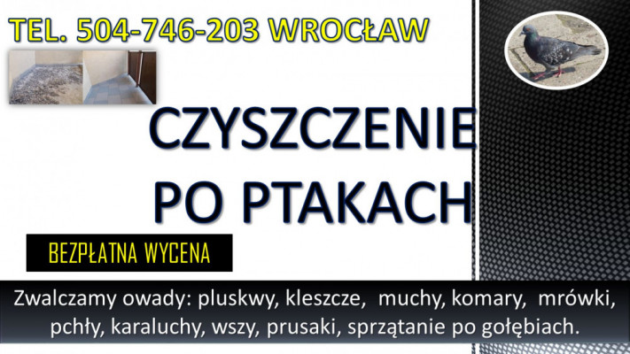 Obrzeżek gołębi, dezynfekcja tel. 504-746-203, Wrocław, kleszcze