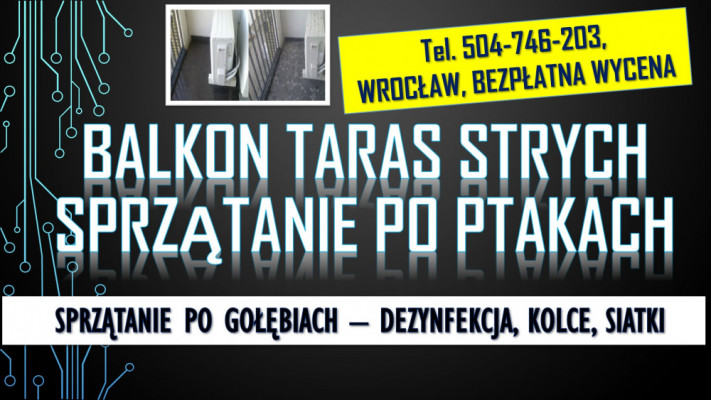 Gołębie, oczyszczanie balkonu, tel 504-746-203. Usuwanie zabrudzeń,