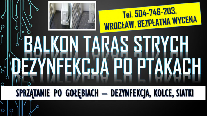 Gołębie, oczyszczanie balkonu, tel 504-746-203. Usuwanie zabrudzeń,