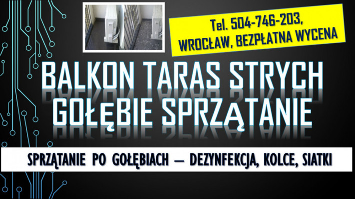 Gołębie, oczyszczanie balkonu, tel 504-746-203. Usuwanie zabrudzeń,