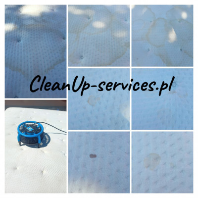 CleanUp-Mobilne Pranie tapicerki oraz dywanów w Koszalinie