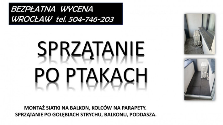 Sprzątanie balkonu. T 504-746-203. z gołębi, ptaków, odchodów. Wrocław
