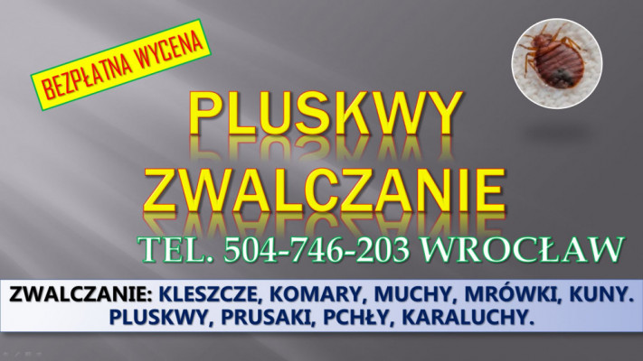 Dezynfekcja na pluskwy, cennik, tel. 504-746-203, Wrocław. Zwalczanie