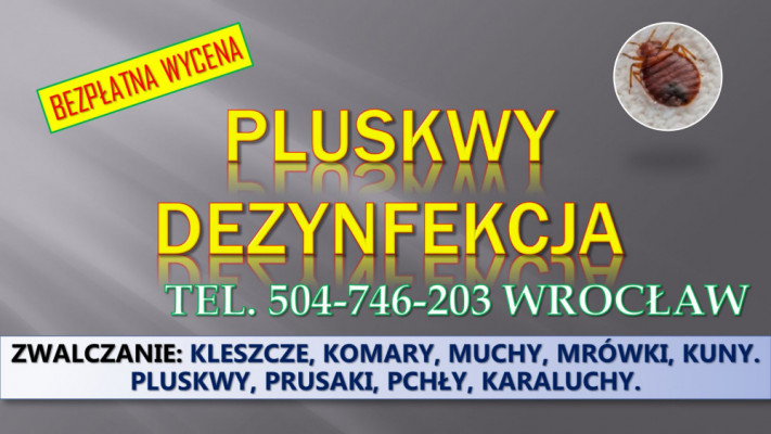 Dezynfekcja na pluskwy, cennik, tel. 504-746-203, Wrocław. Zwalczanie