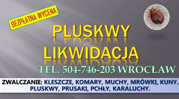 Dezynfekcja na pluskwy, cennik, tel. 504-746-203, Wrocław. Zwalczanie