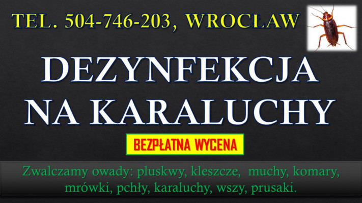 Karaluchy dezynfekcja i zwalczanie, tel. 504-746-203, Wrocław. oprysk