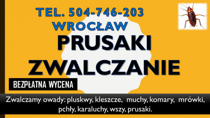 Dezynfekcja na prusaki tel. 504-746-203, we Wrocławiu, mrówki, cena