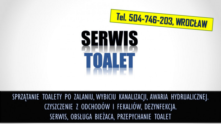 Toalety dezynfekcja, tel 504-746-203, Wrocław, sprzątanie fekaliów
