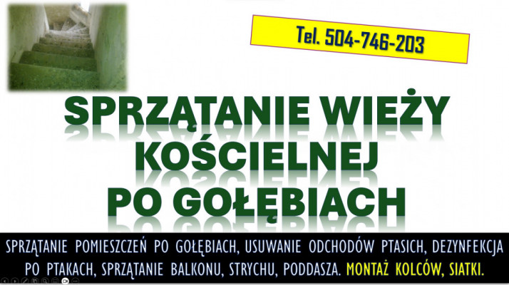 Sprzątanie po gołębiach. Tel. 504-746-203. Ptasich odchodów, cennik