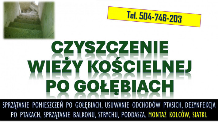Sprzątanie po gołębiach. Tel. 504-746-203. Ptasich odchodów, cennik